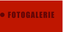 FOTOGALERIE